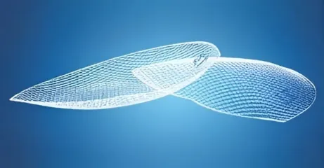 Use of Mesh